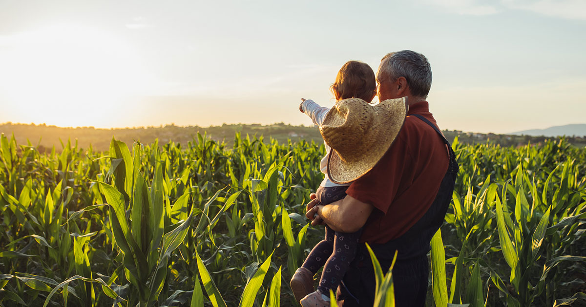 family farm field with grandfather and grandchild