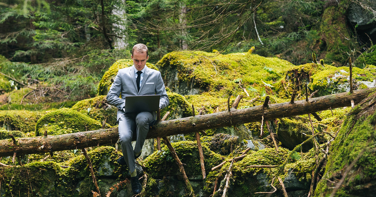 professional lawyer working in the woods