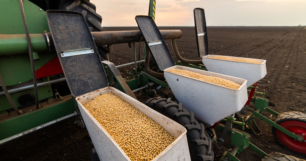 grain harvesting machine